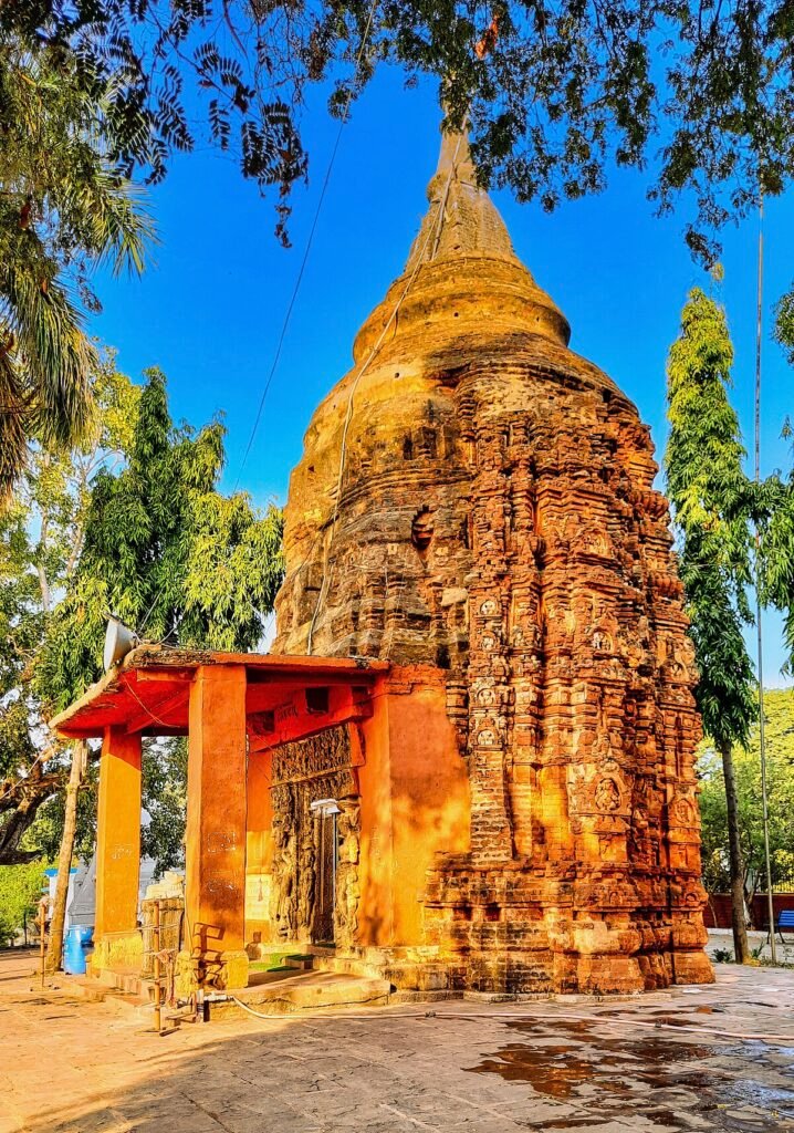 0012523 Siddheshwar temple Palari Chhattisgarh 045