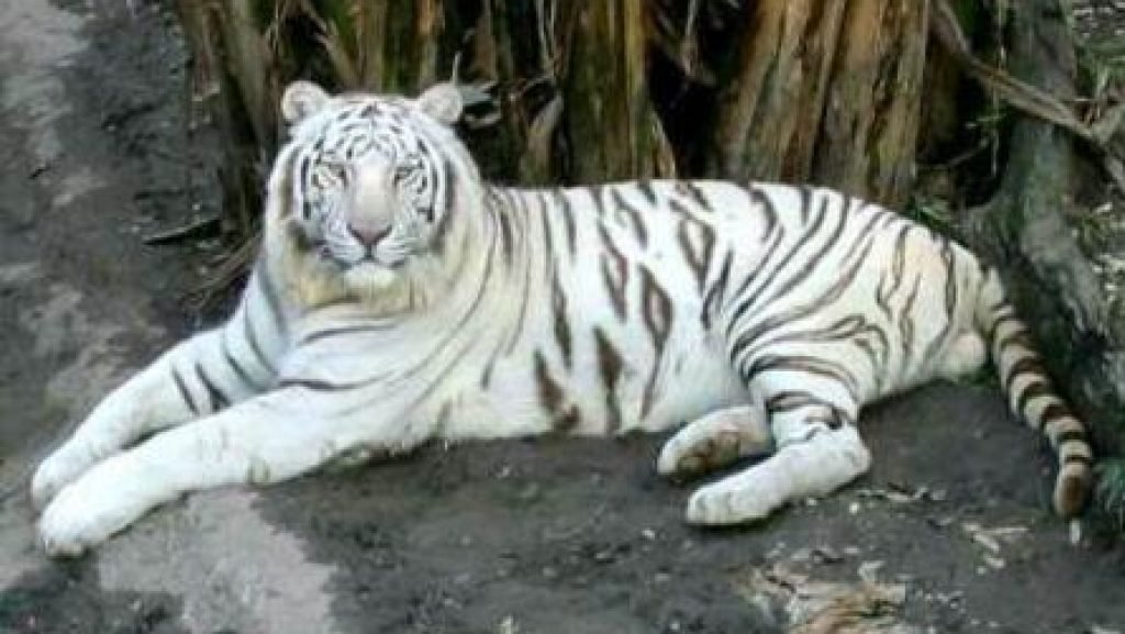 2018091286 olw9zlor9ovsk08zwuw1v5q8kw0d92rd0njle02w0a