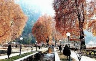 2018112295 olw7yq8z0hiz1ec3bd0njjqz4f2nvbai7iilizif2q