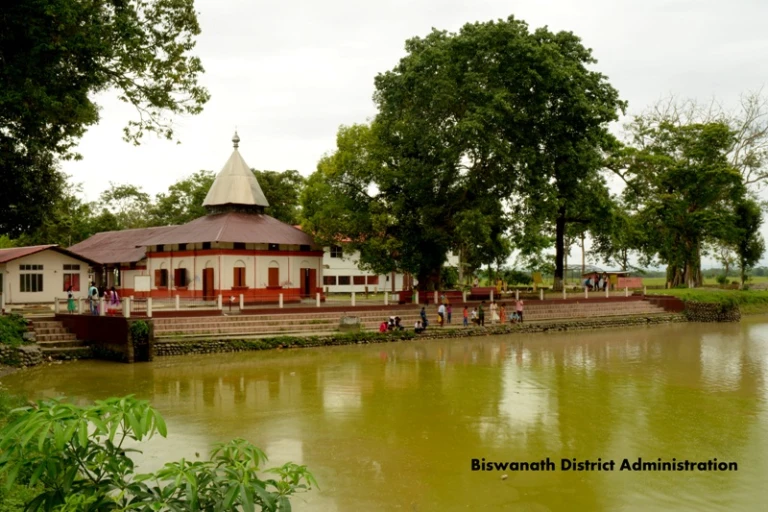 67769983 6318 4e17 9230 79b10929a69e w768