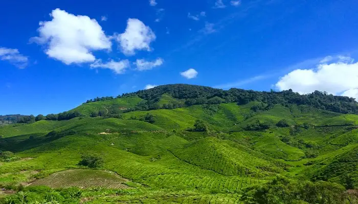 Bagheswari Hill1