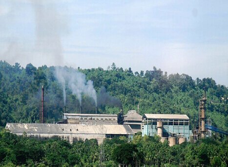 Cachar Paper Mill 1