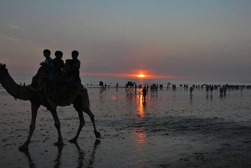 Enjoying Camel Ride Mandvi Beach Kachchh panoramio 20191223192957