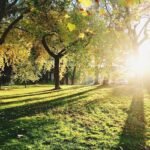 10 Best Places to Visit in Rajkot for History, Food & Culture Lovers 10 IshwariyaPark 20191031163203 20191031163240