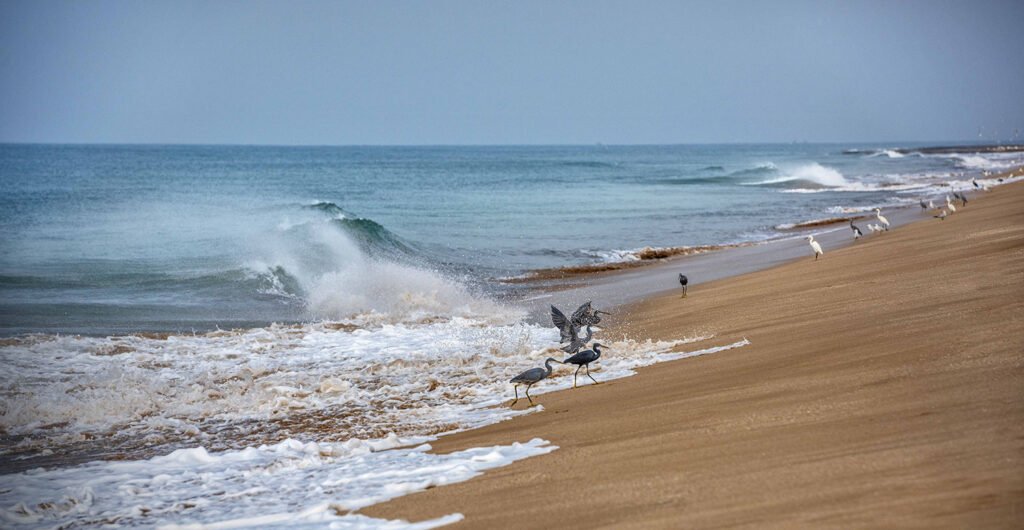 10 Best Places to Visit in Porbandar for History, Beaches & Spirituality 3 Madhavpur Beach7