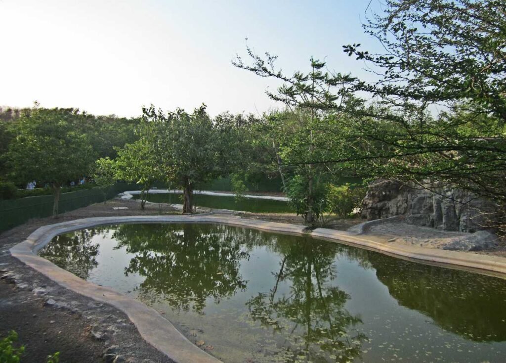 10 Best Places to Visit in Rajkot for History, Food & Culture Lovers 5 Pradyuman Park l Rajkot l Gujarat 20200130110134