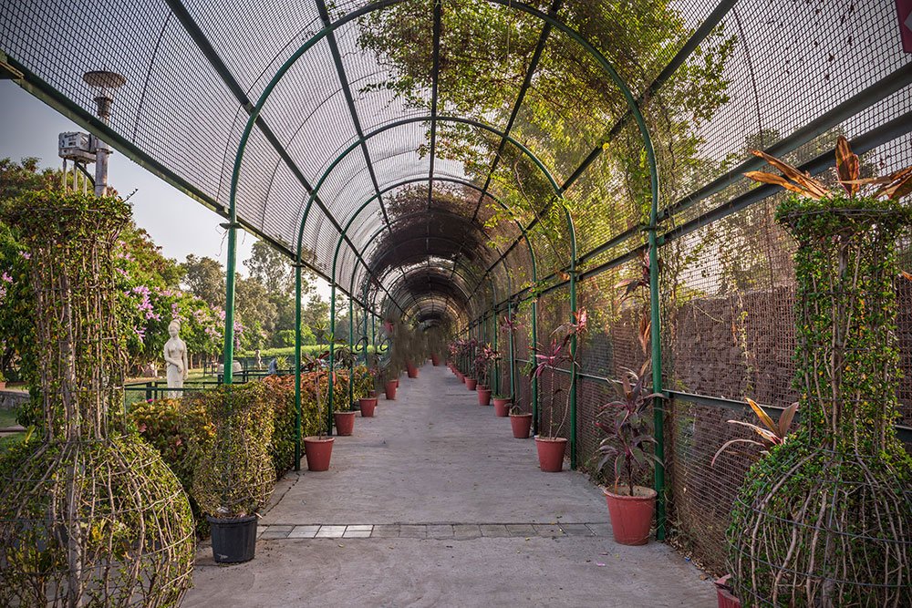 Sneh Rashmi Botanical Garden 12