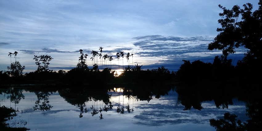 Sunset at Laokhowa Wildlife Sanctuary