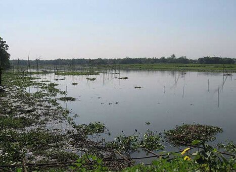 Urpad Beel Lake 1