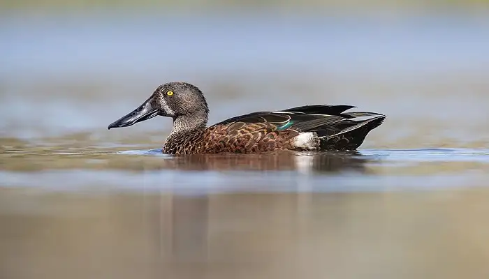 Visit Coringa Wildlife Sanctuary