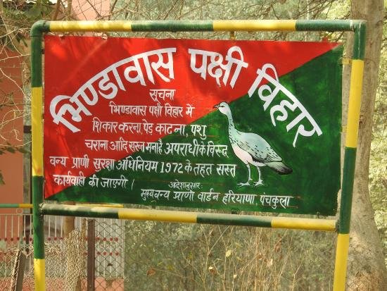 bhindawas bird sanctuary