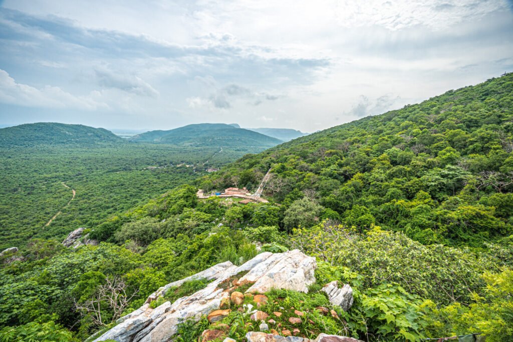 cq5dam.web .1280.765 19