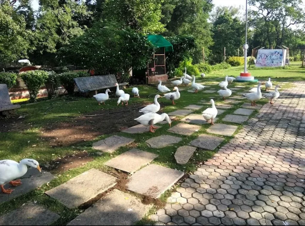 e62a6fc9 a7fe 47c4 99e3 3a4ff9ac3629