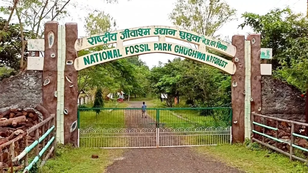 ghughua fossil park