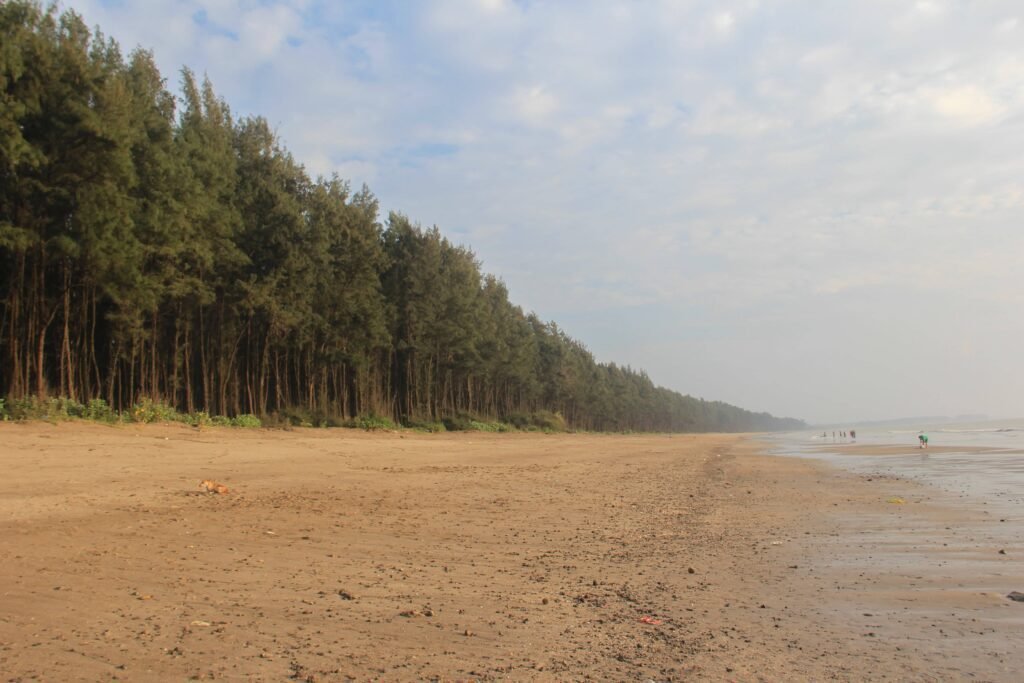 nargol beach 1 1024x683 1