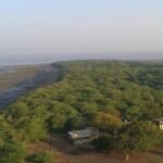 10 Best Places to Visit in Bhavnagar for a Scenic Getaway 6 piram bet island