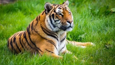 2018060434 olwdws1w58jdq50dj1rjkaupwvupotnv51beere0gk
