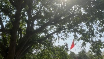 Top 5 Best Places Visiting in Koderma for Nature, Heritage & Spirituality 4 2024051389 qo3aa5924vje45ezjj4y4tmlhohq27dtqi84ohdvk2