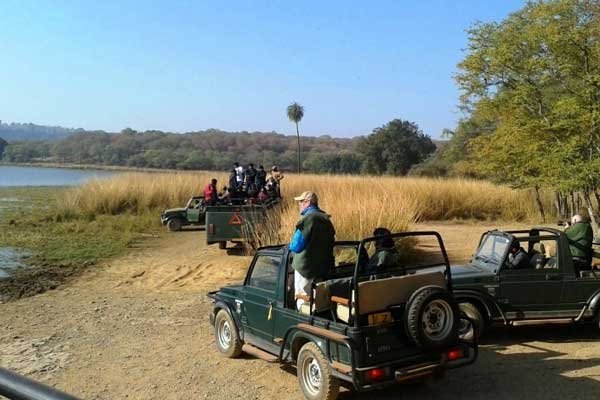 chambal safari