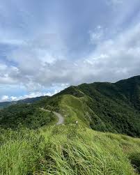 images 54