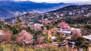 images 57