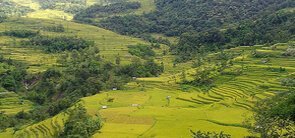 satoi range