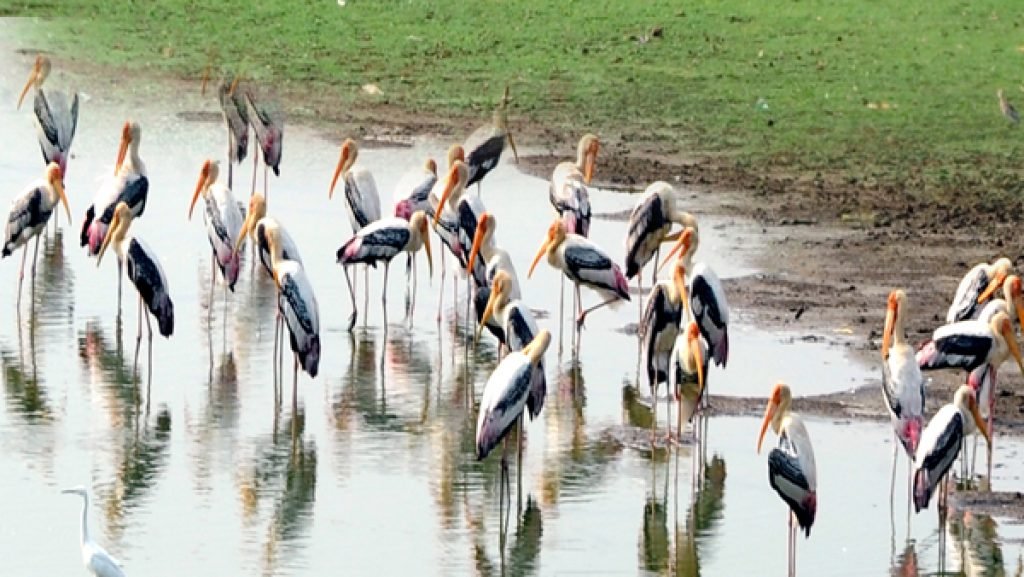 2019020822 olwbglt4ndfv8f9ceropgs7yh2rhan6gyzv9lphp56