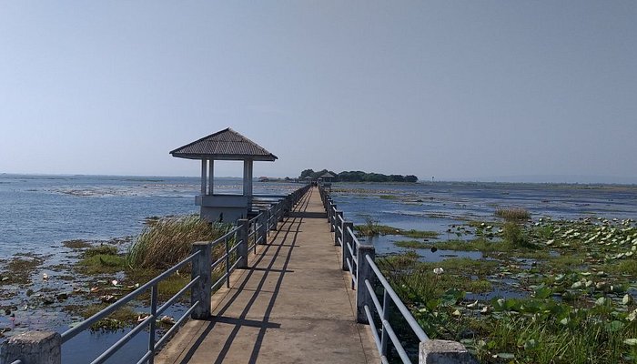 20191206 100711 largejpg