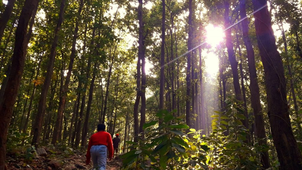 Top 10 Best Places to Visit in Bankura – Temples, Hills & Nature Escapes 2 2020070641 scaled