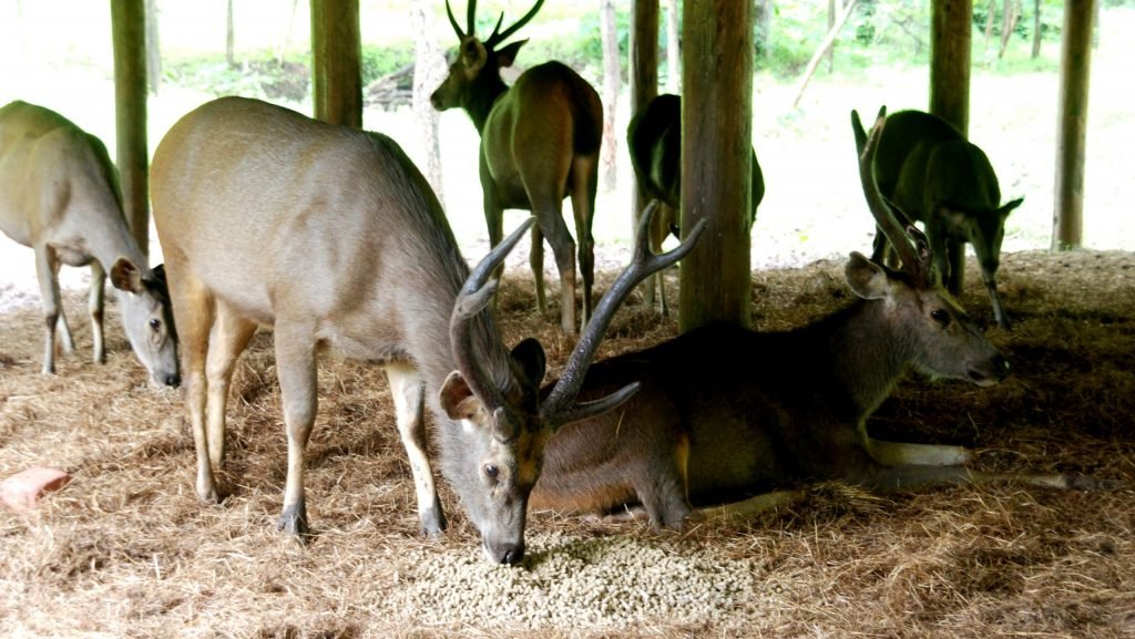 2020091813 scaled ovmvgk5d177gv66ez2gycq4yspje25wk5zkpnwrmh6