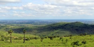 2020112833 300x150 1