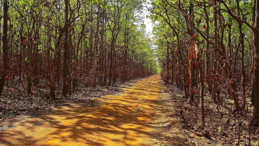 2021080335 pb2h6cmovpikbg91uqm8sn2zmwmf9naw4yd34dyzre