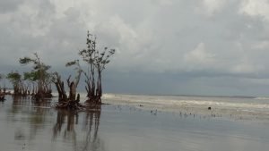 2024080670 300x169 1