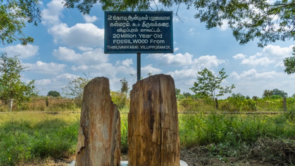 2024091298 qtziw9v47hz23rgwk3e71se0ml65zbrooemyv6jfd6