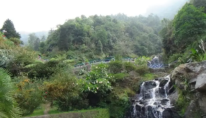 Barbotey Rock Garden Darjeeling West Bengal
