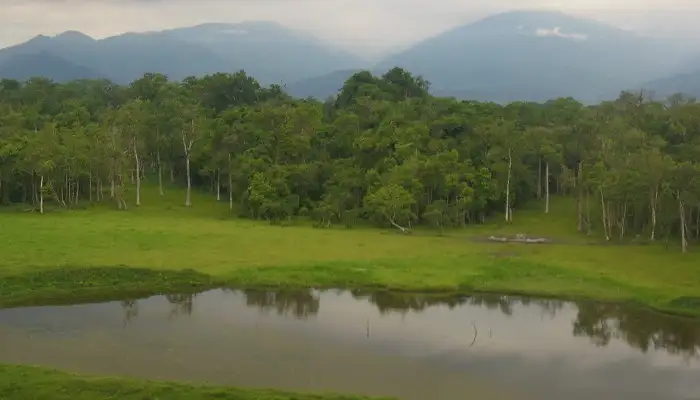 Chapramari Wildlife Sanctuary