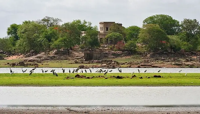 Pocharam Wildlife Sanctuary 1