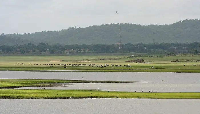 Pocharam Wildlife Sanctuary