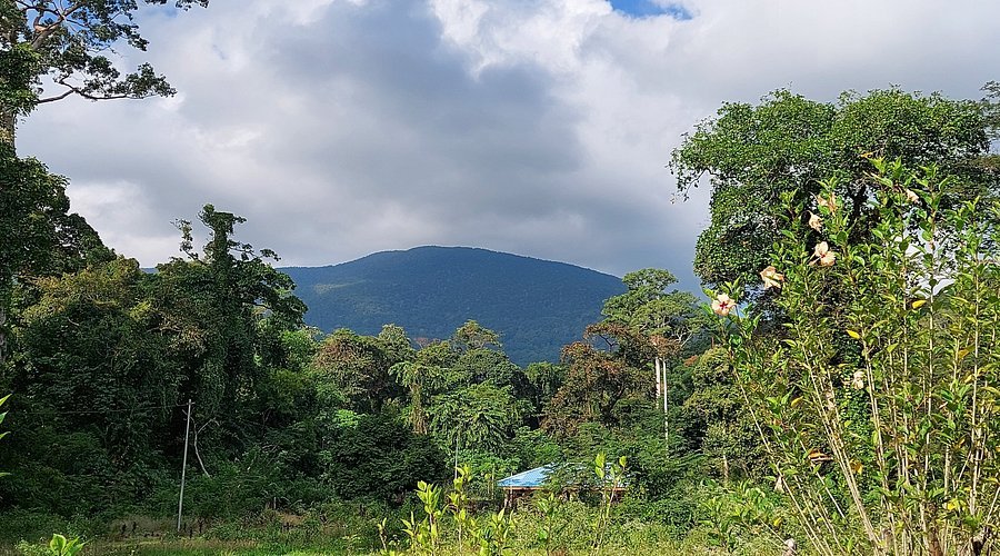 beautiful saddle peak
