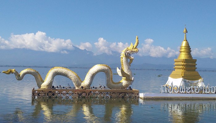 dragon