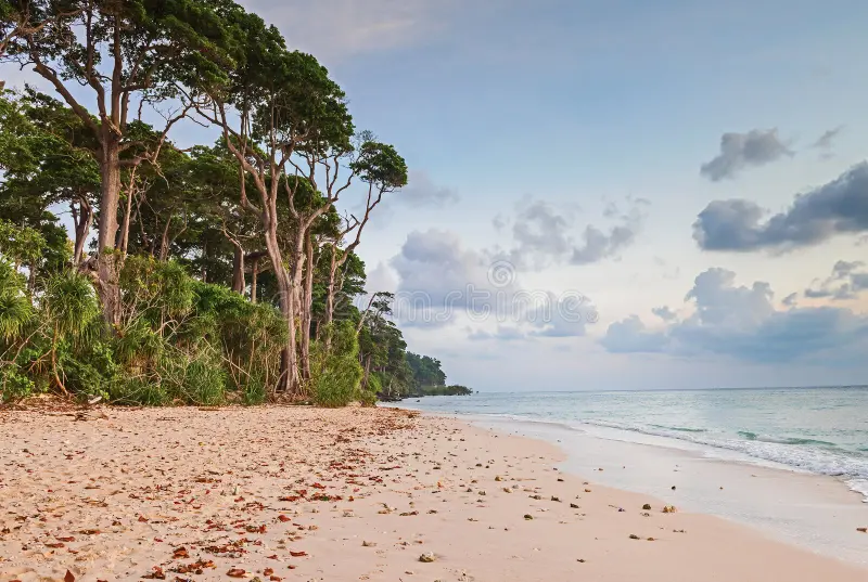 evening laxmanpur beach andaman nicobar india most beautiful beaches neil island visited many tourists 66643578 1