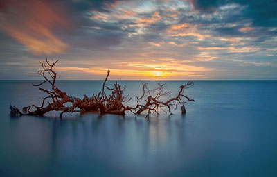 hare island