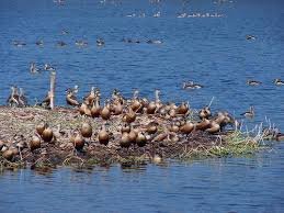 images 2025 05 12T144822.167