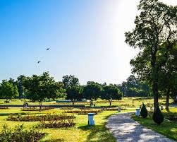 images 2025 05 13T145927.635