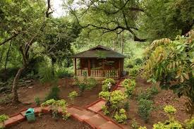 images 2025 05 15T150342.004