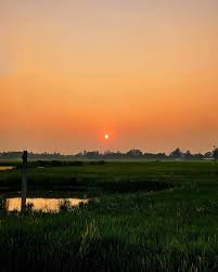 images 2025 05 17T102453.299