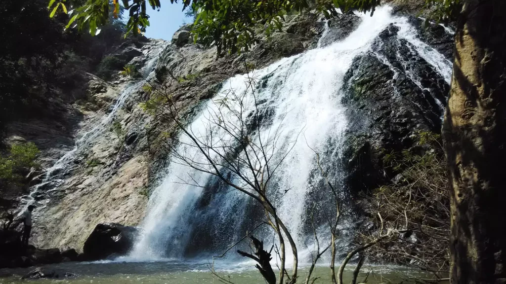 kalvarayan hills 1678087937 3a163db2bbd49fcbd92d