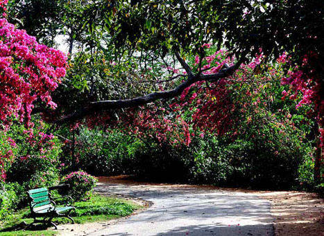kamla nehru ridge
