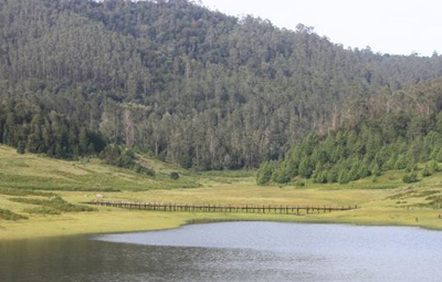 mannavanur lake