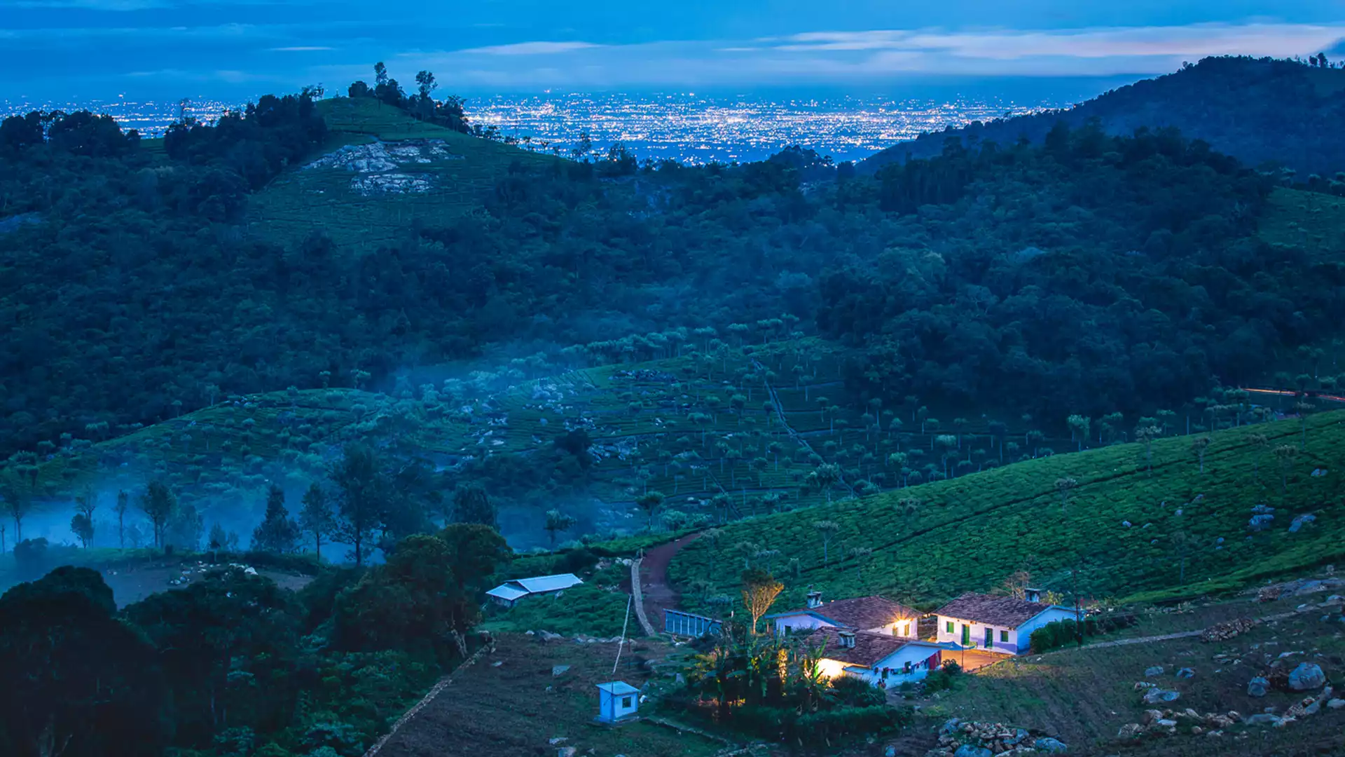 nilgiris 1657463286 87ba8648c266fa0031c3